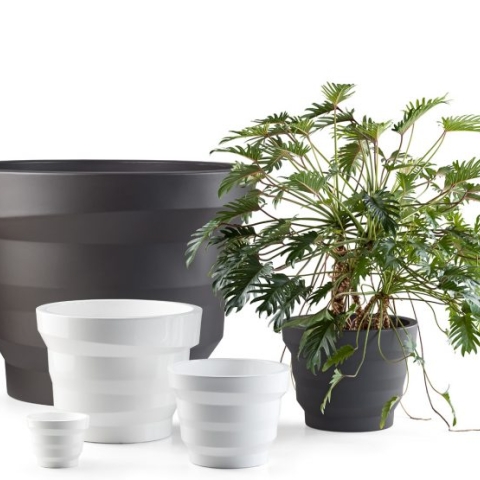 PLUST MINI REBELOT LIGHT INDOOR C/KIT MINI LED